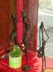  sculptures africaines, 19, rue du Maure qui Trompe